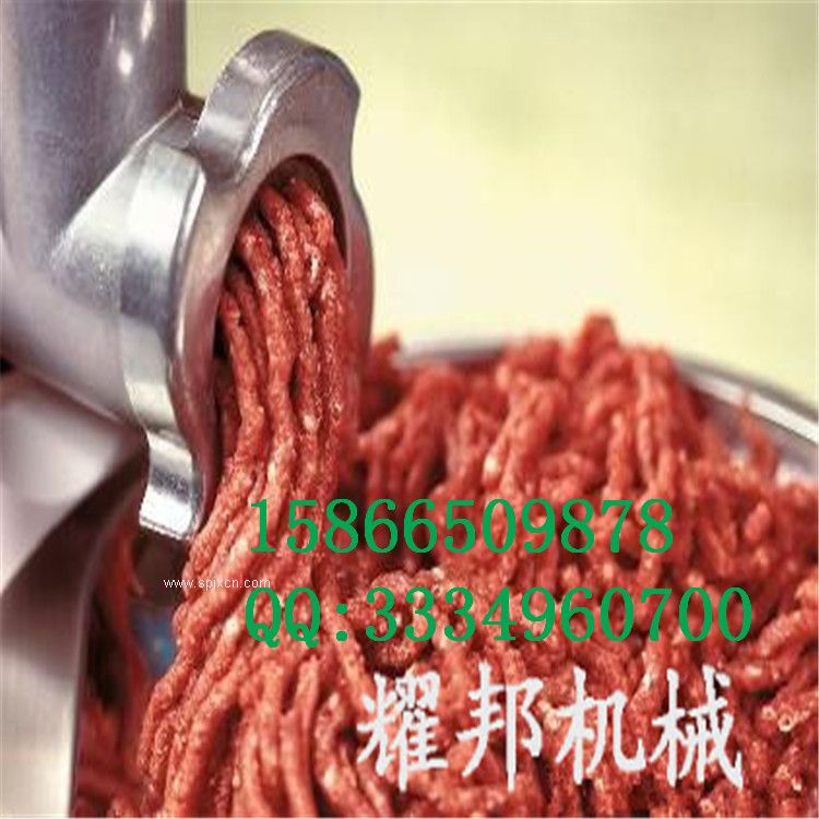 限時折扣 不銹鋼多功能絞肉機