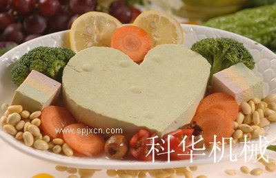 自動豆腐機生產(chǎn)廠家