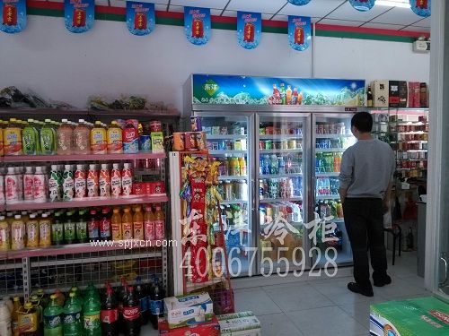 商業(yè)冷柜便利店冷藏柜